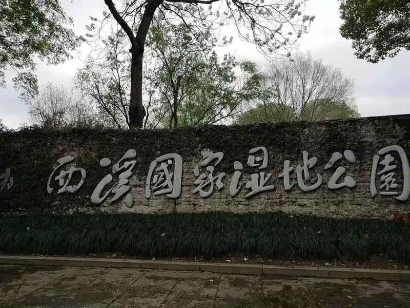 西溪湿地