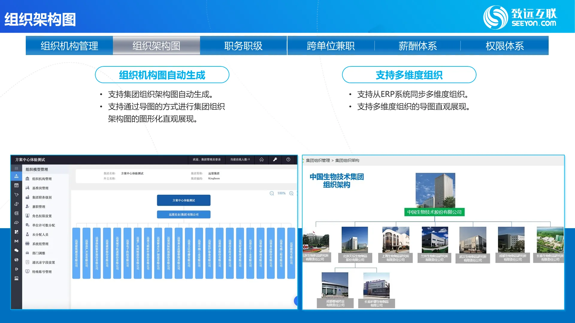组织架构图