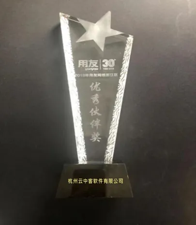 用友优秀伙伴奖